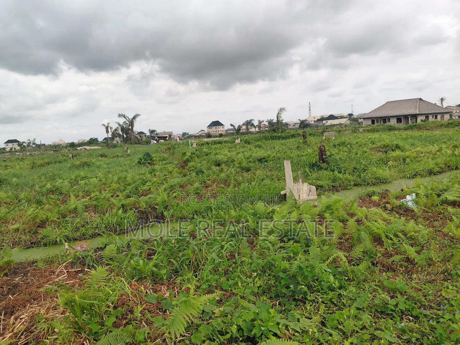 20 000 Acers of Mixed Farmland Ogun State