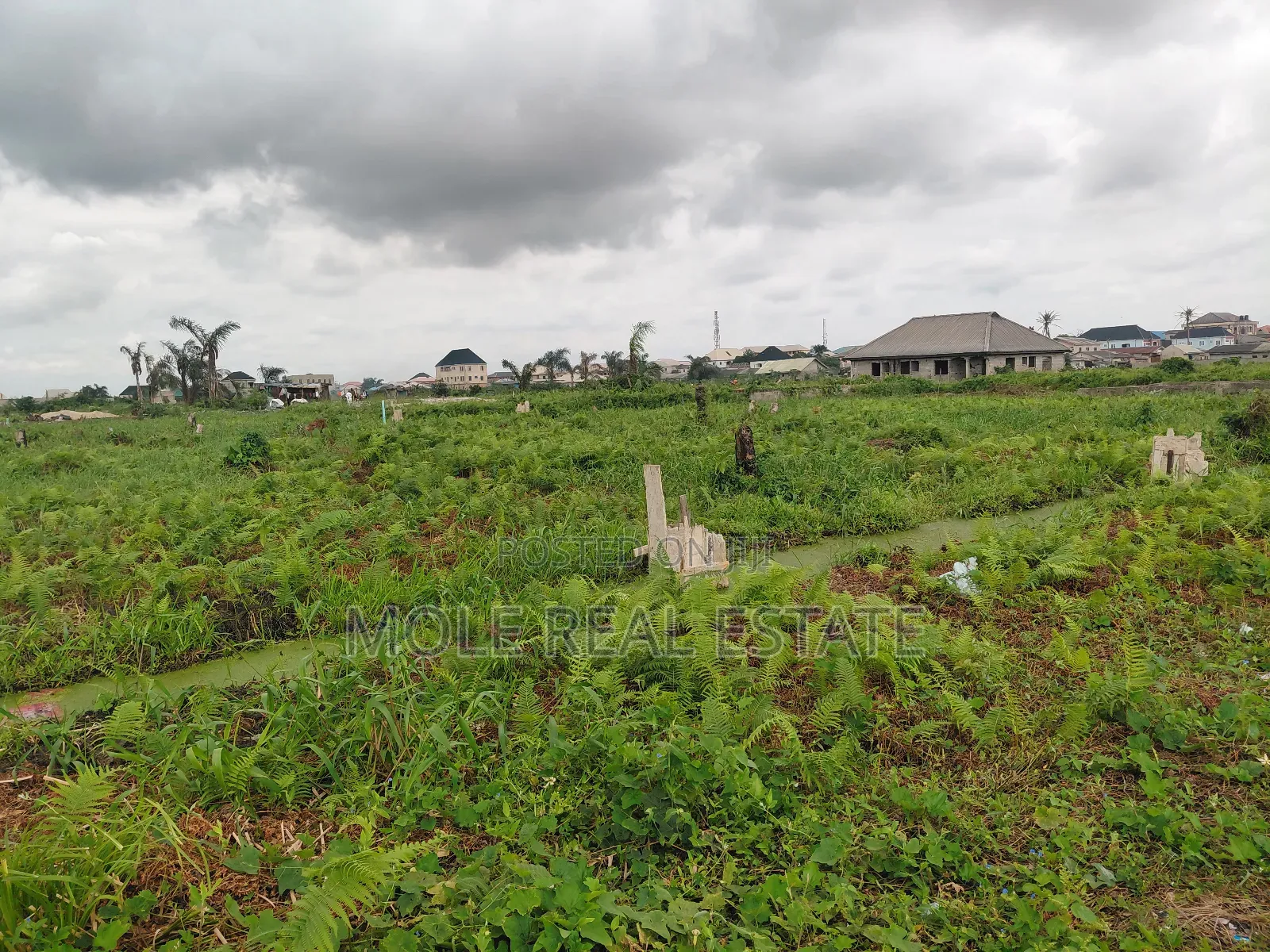 20 000 Acers of Mixed Farmland Ogun State