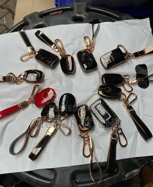 Car Keys And Remote  Tpu Holders And Cover