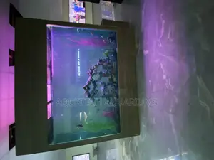 Massive Aquarium Tank