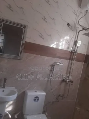 Professional Plumber