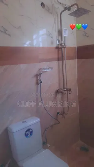 Professional Plumber