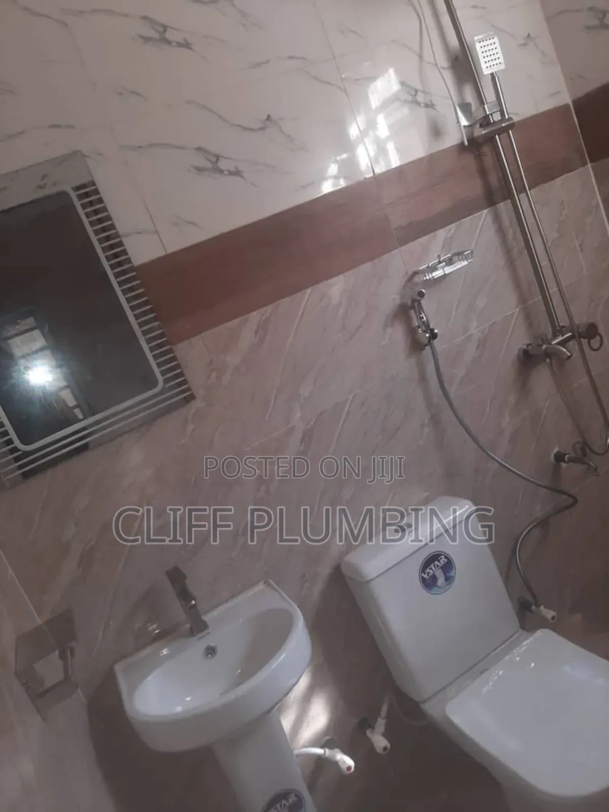 Professional Plumber