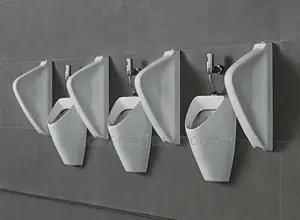 Original Urinary Bowl and Divider