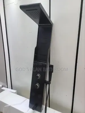 Executive Black Power Shower