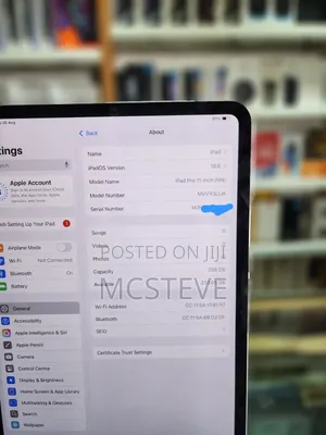 Apple iPad Pro 11 (2024) 256 GB Silver