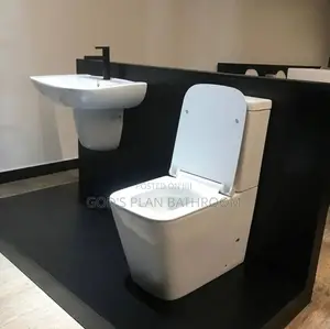 Water Closet With Hanging Basin
