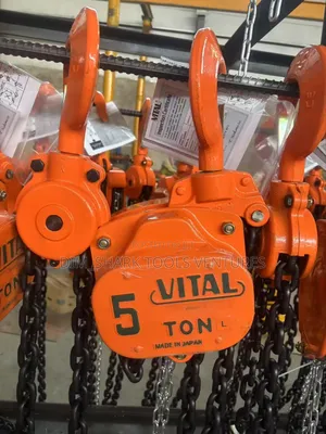 Vital 5 Ton Chain Block/Chain Hoist