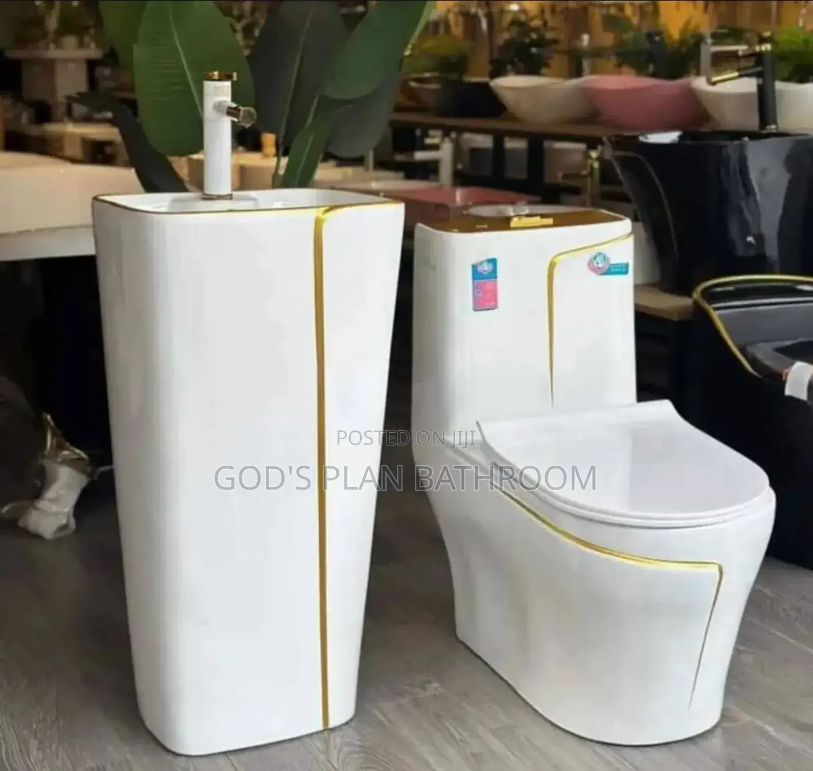 Executive Water Closet With Standing Basin