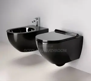 Ideal Conceal Wc and Bidet