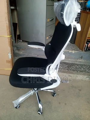Executive Chair Economic Mesh