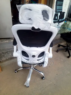 Executive Chair Economic Mesh