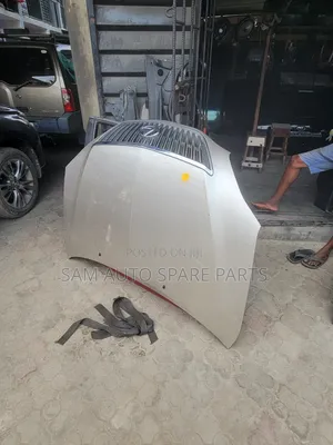 Lexus Rx 330 Bonnet Neat One 08 Model