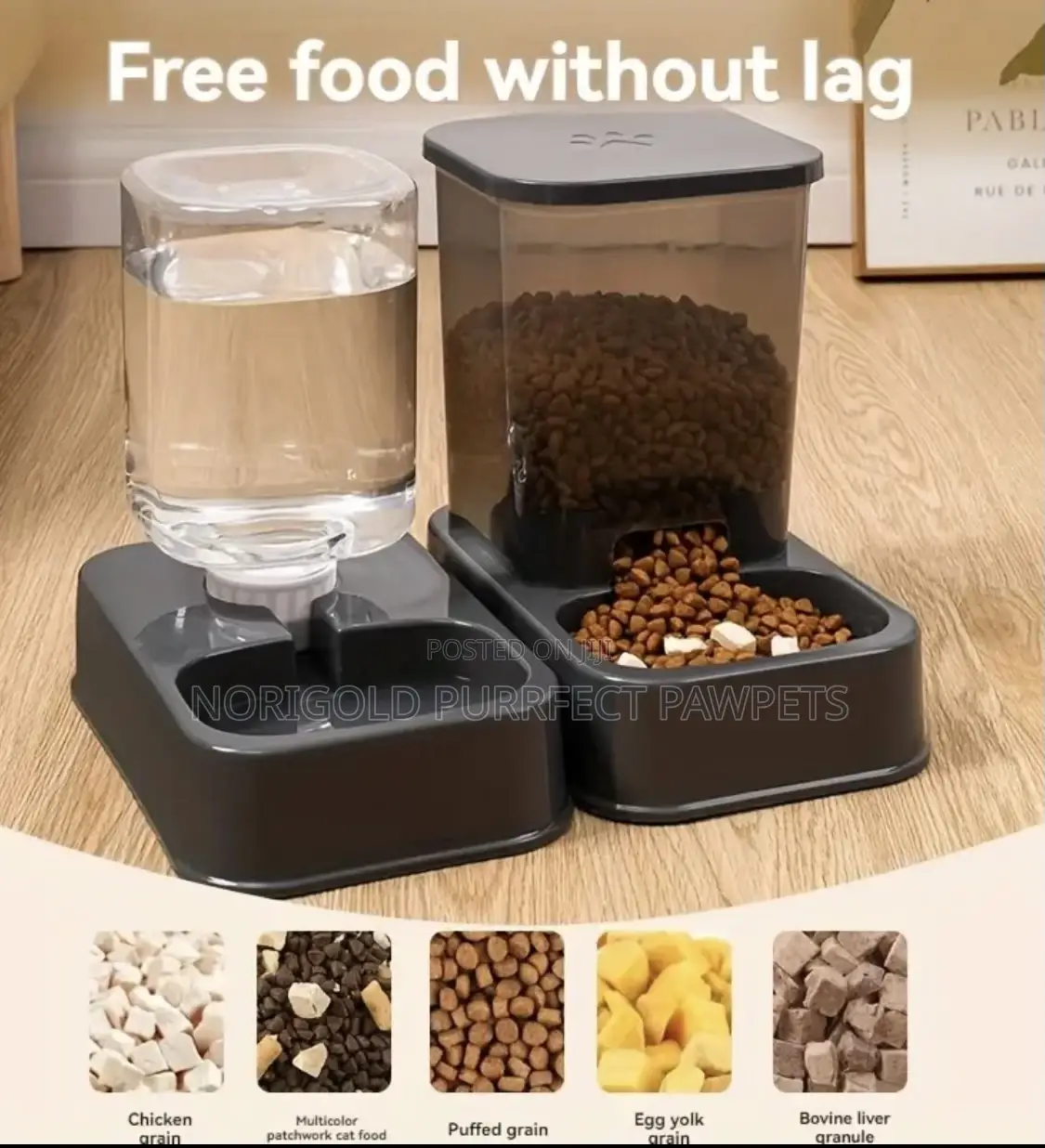 Automatic Pet Feeder and Water Dispenser