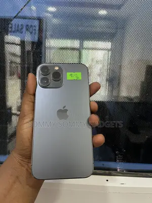 Apple iPhone 13 Pro Max 128 GB Gray