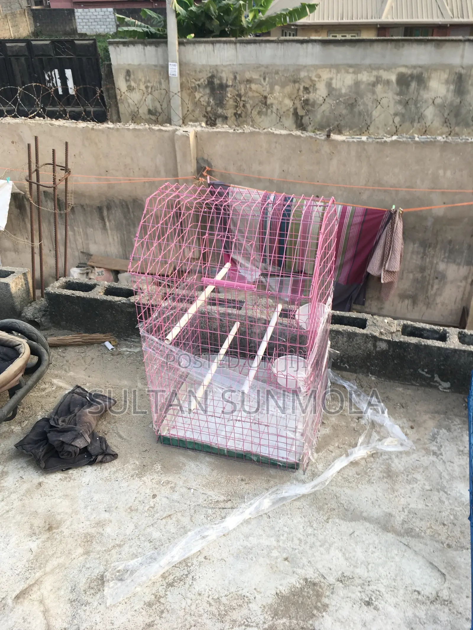 Parrot Cages