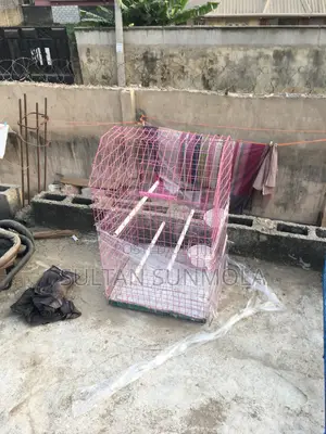 Parrot Cages