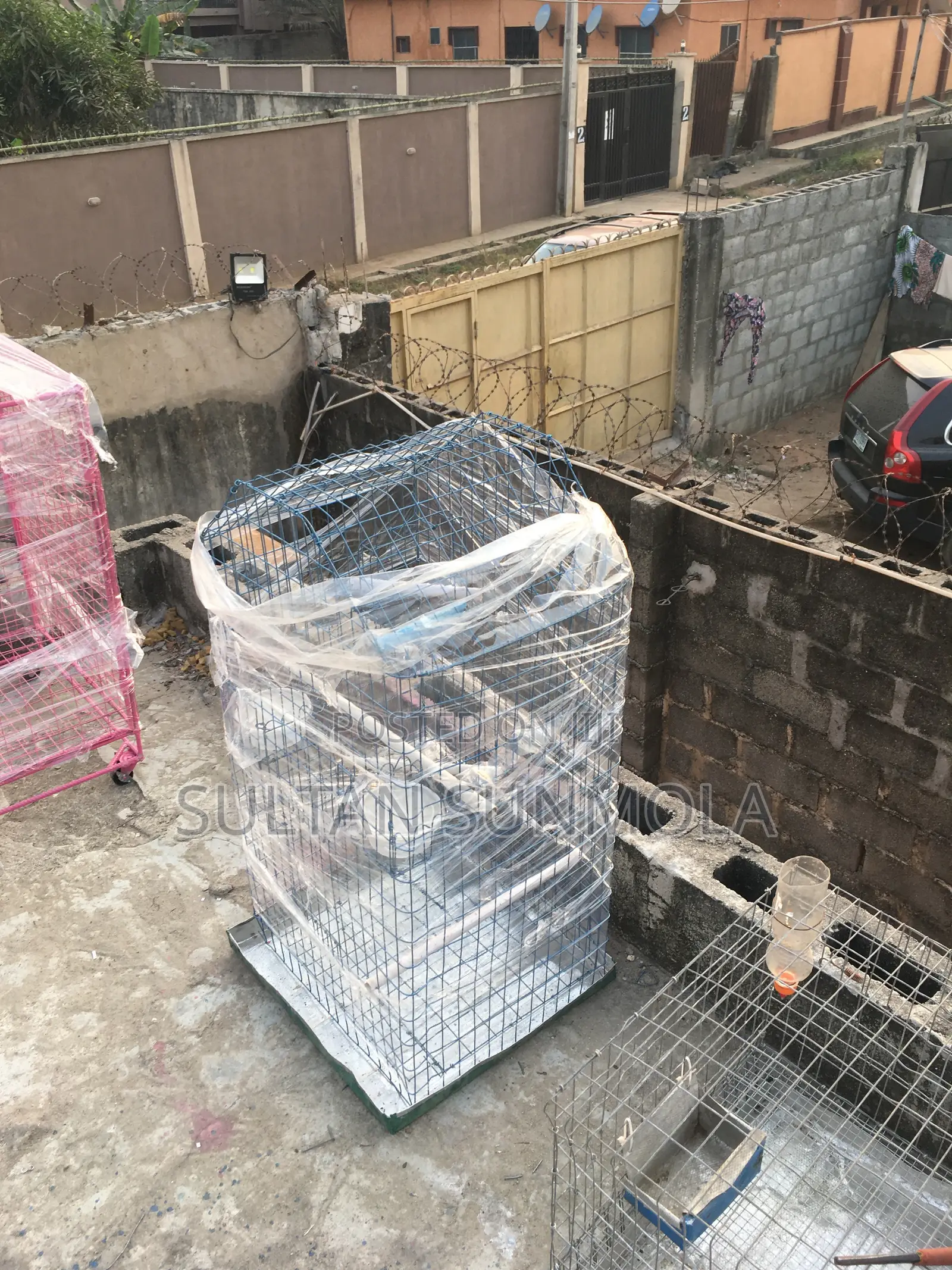 Parrot Cages