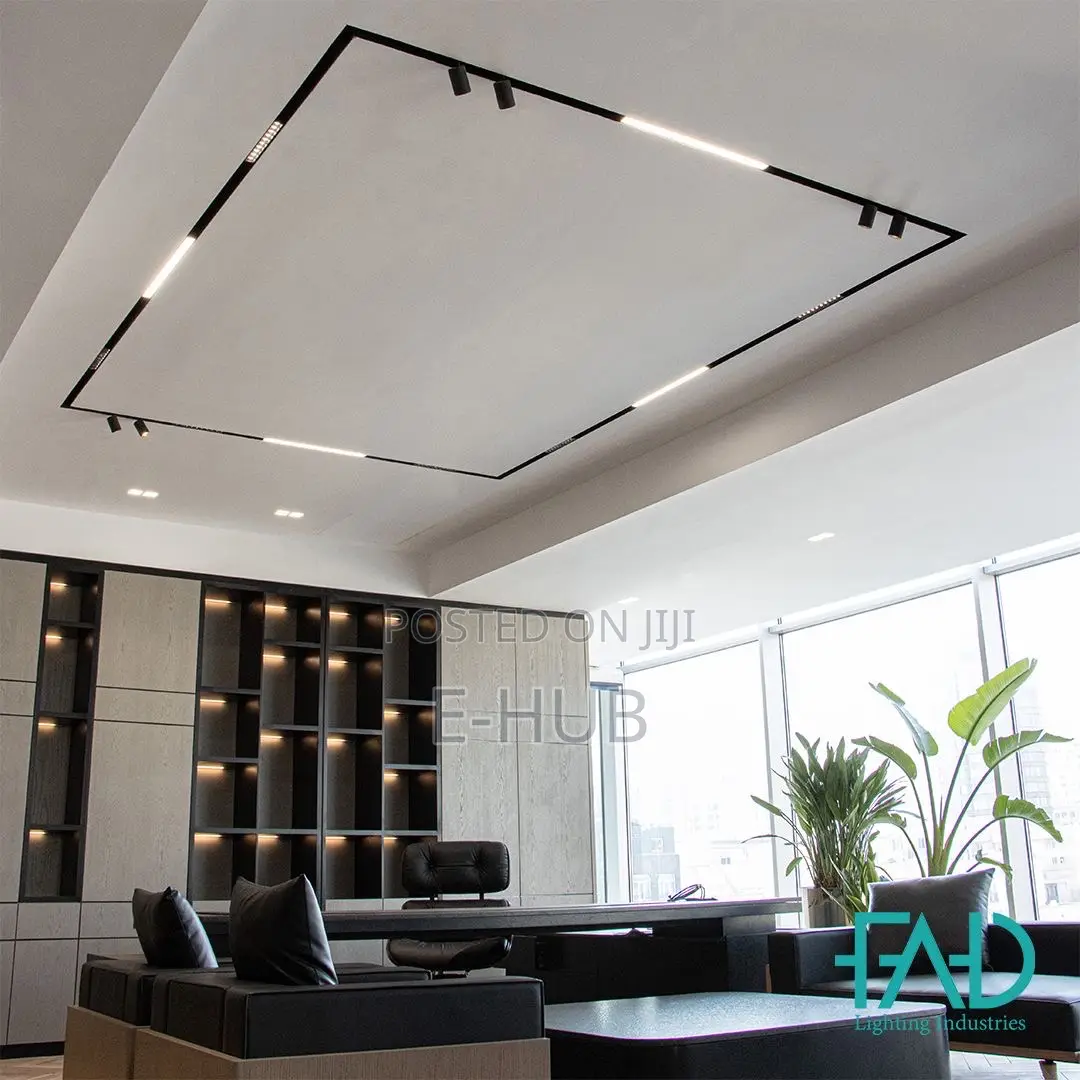 Magnetic Rails And Light
