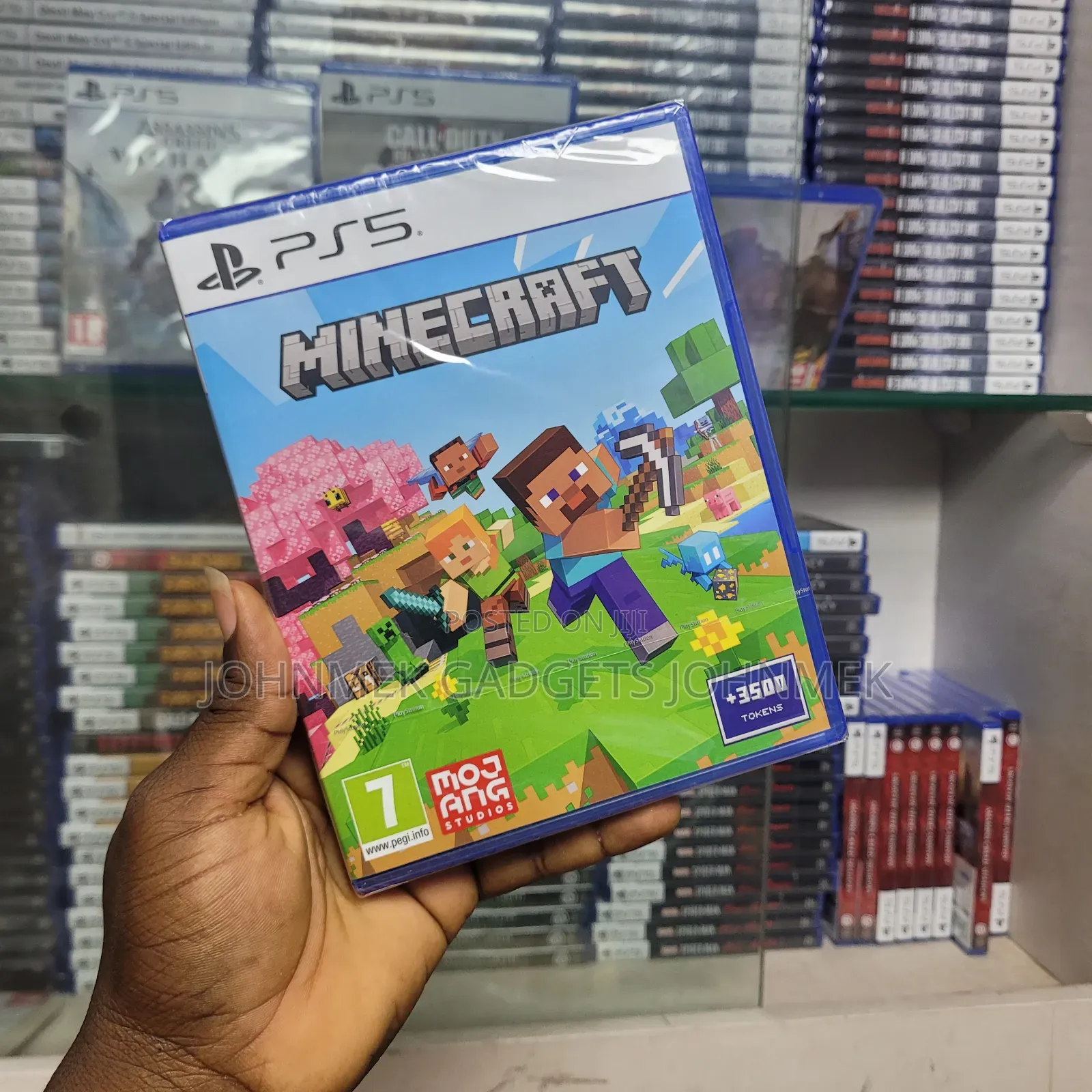 Minecraft Ps5 Game Disc