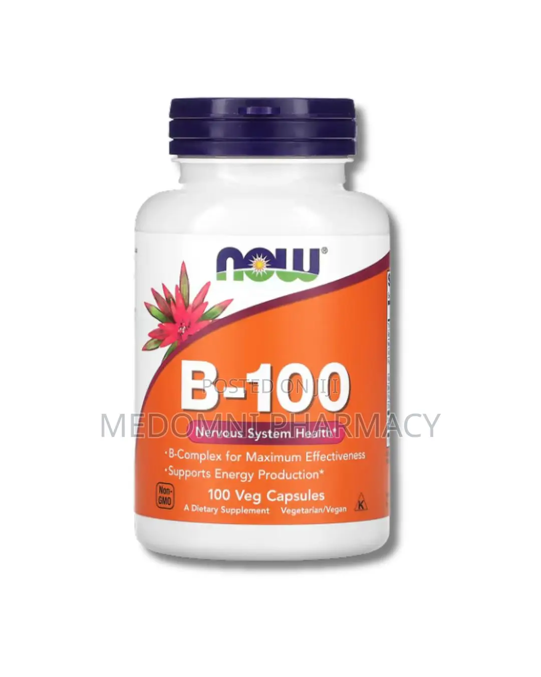 Vitamin B-100 Complex – 100 Capsules