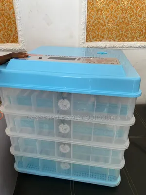 Egg Incubator