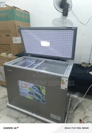 Snowsea Bd 308g Freezer 200l – Ideal for Shops