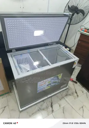 Snowsea Bd 308g Freezer 200l – Office Home Use