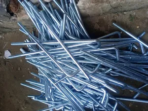 Foundation Bolt M20 by 600