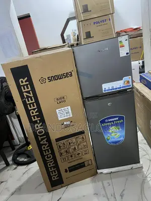 Snowsea Bd-208 Freezer – Compact 150l Storage Unit