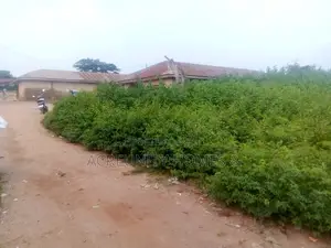 1 Plot of Land Opposite Shabab School, Oke-Oremoje, Iseyin