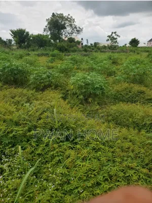 7 Plots of Land Along Enugu-Onitsha Express Road Awka Anambra.