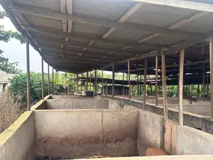 Piggery Farm on 1 Plot of Land