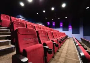 Auditorium Chairs