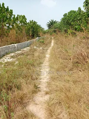 Free From Govt Wahala, Elerangbe, Oriba Alasia, Ibeju Lekki