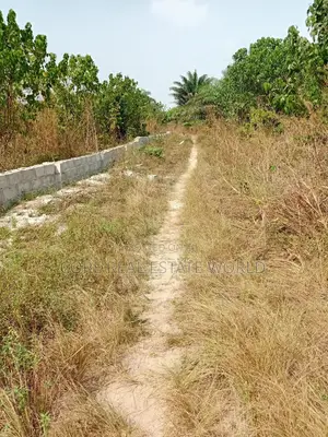 Free From Govt Wahala, Elerangbe, Oriba Alasia, Ibeju Lekki