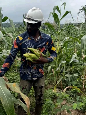 Largest Farm Land Estate in Africa
