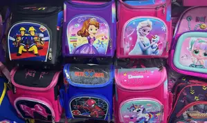 Lunch Bags for Kids