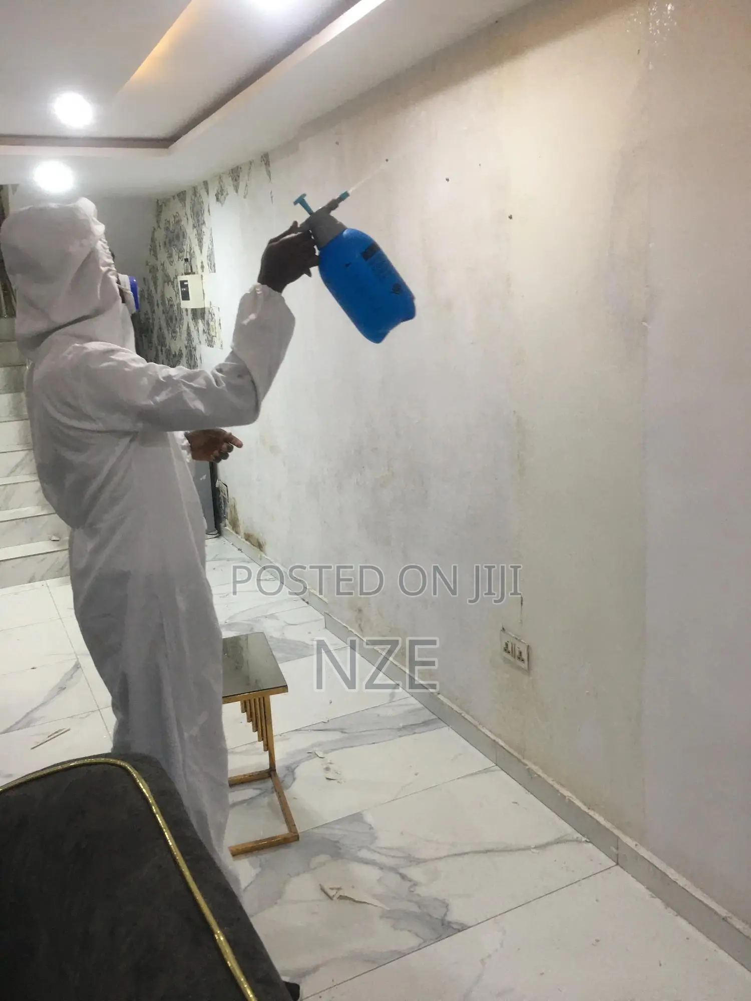 Mold Treatment Specialist