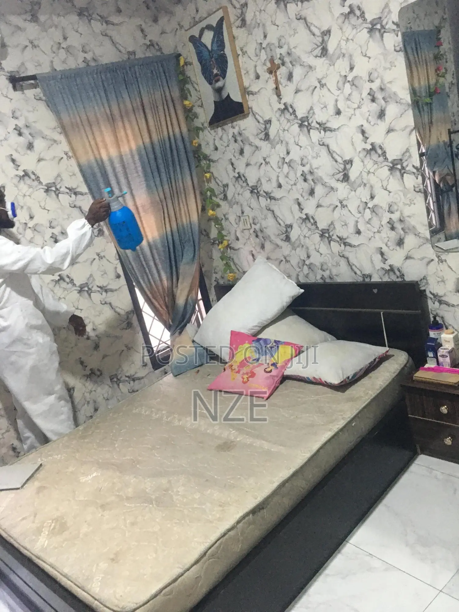 Mold Treatment Specialist
