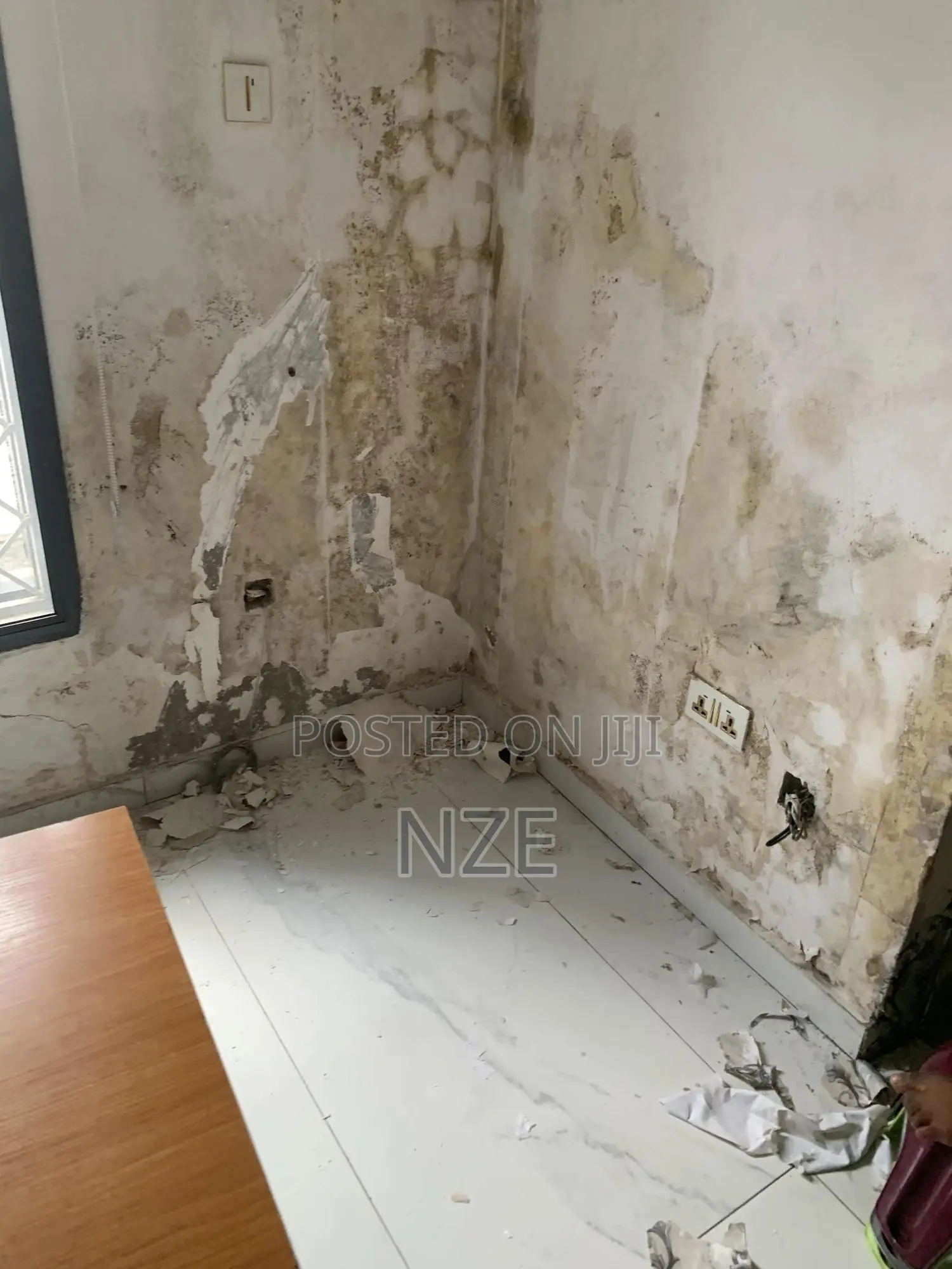 Mold Treatment Specialist