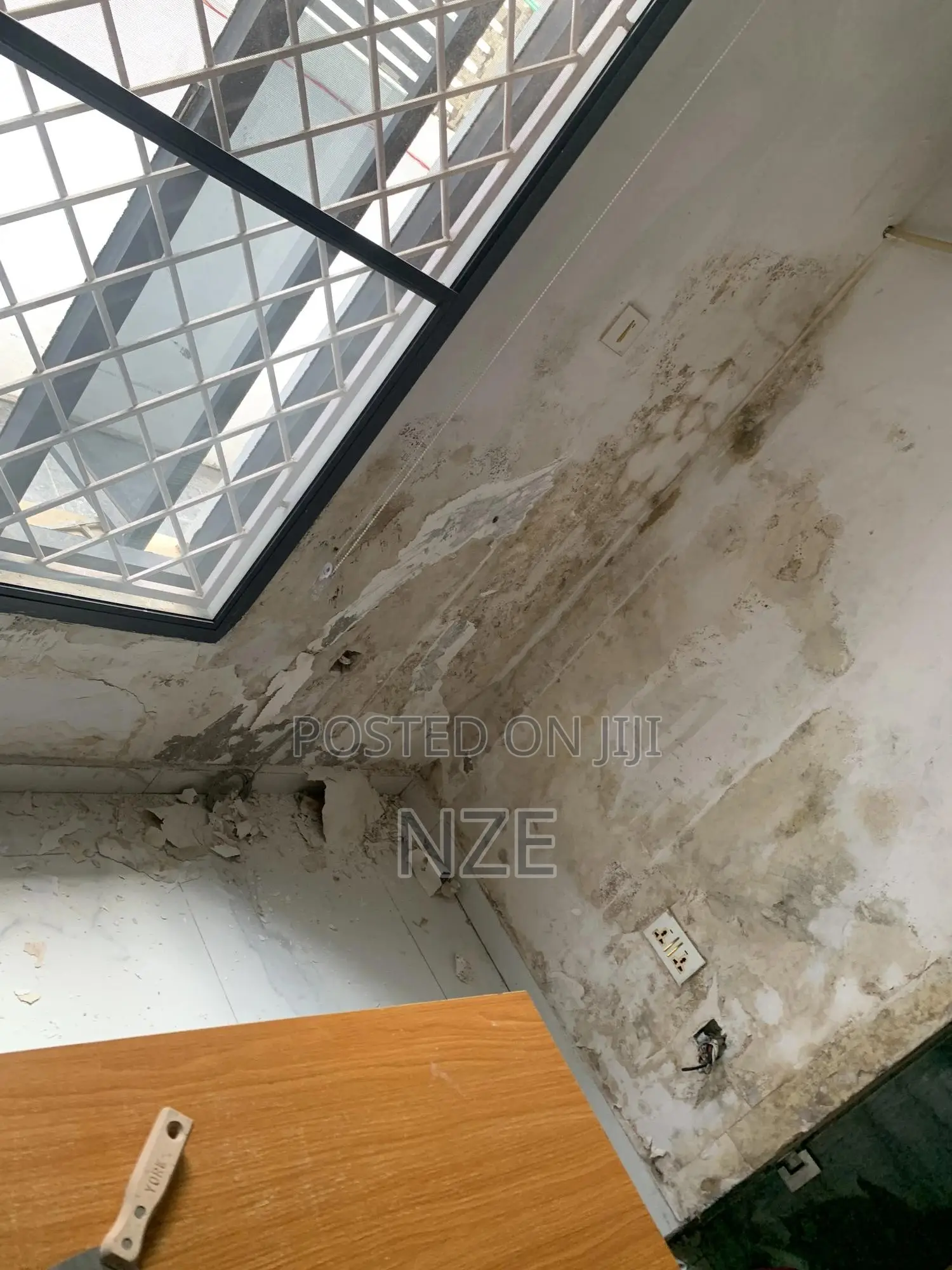 Mold Treatment Specialist