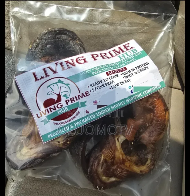 Catfish Processing Nigerian Smoked Catfish Business Plan For Dried