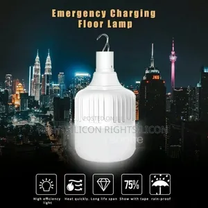 Usa 65w Led Work Light Bulb With Hanging Rechargeable