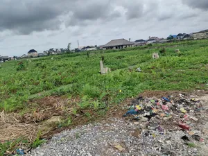 5000 Acres of Mixed Farmland Loloko Ogun State