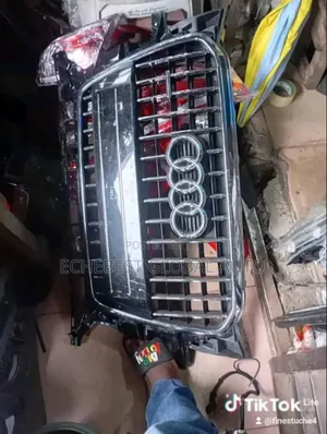 Audi Q7 Front Grill 2008 Model