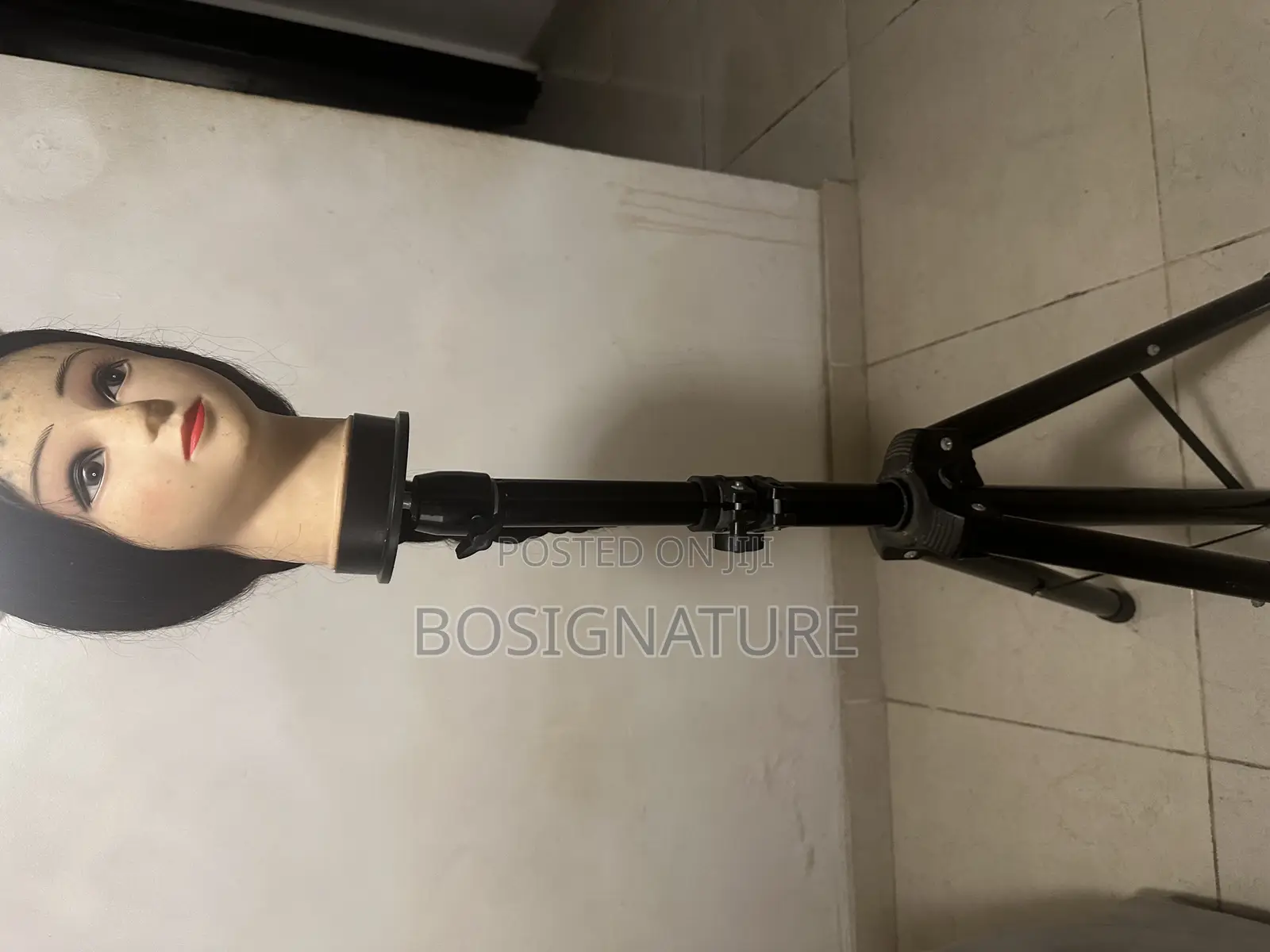 Tripod Stand and Canvas Head