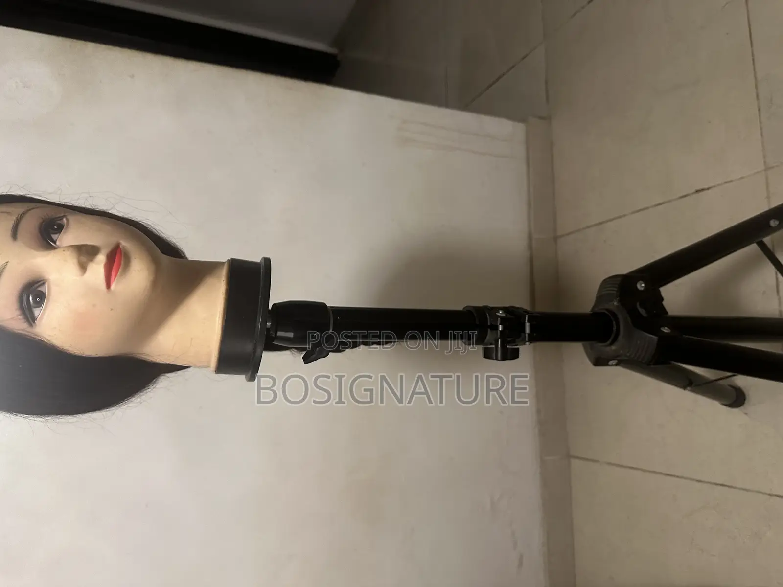 Tripod Stand and Canvas Head