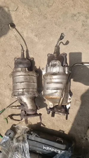 Catalyst And Canister