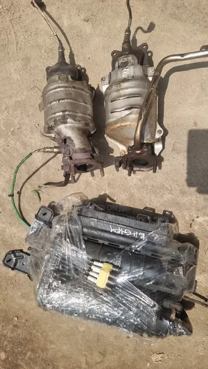 Catalyst And Canister